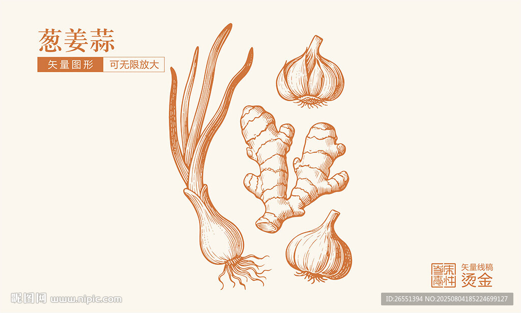 蔥姜蒜線稿