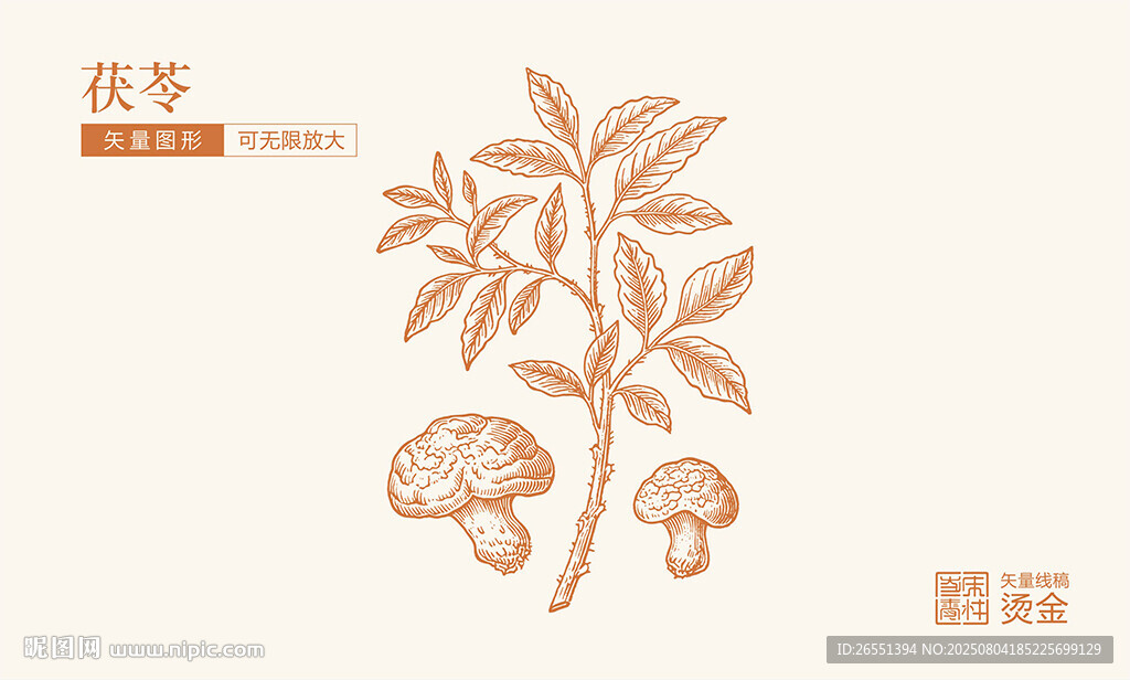 伏苓