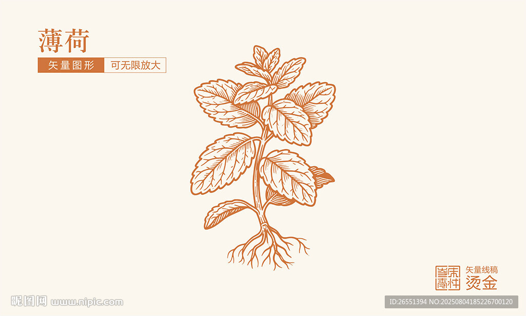 薄荷