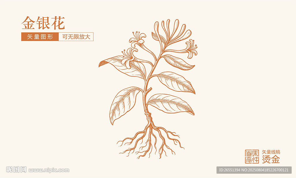 金銀花