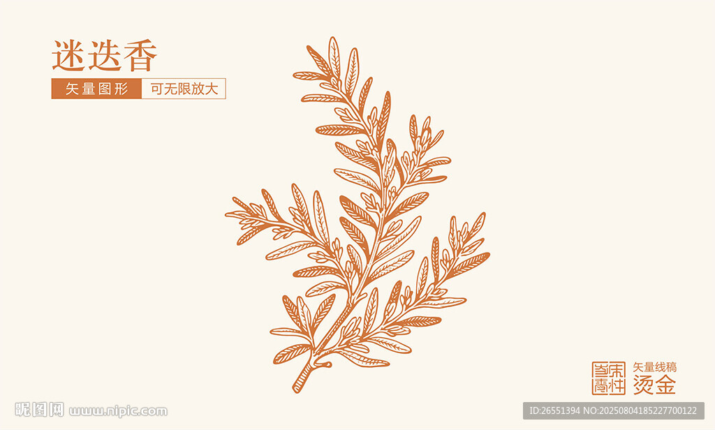 迷迭香