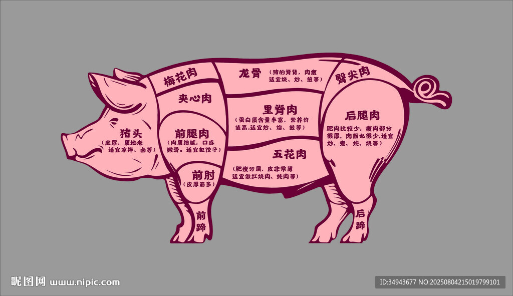 豬的身體部位分割示意圖
