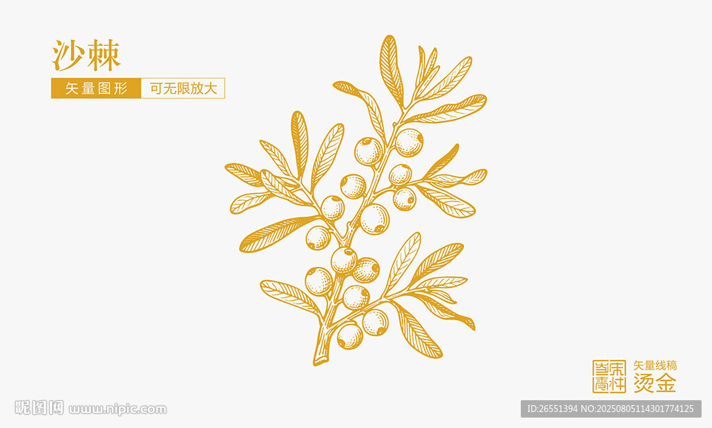 沙棘果