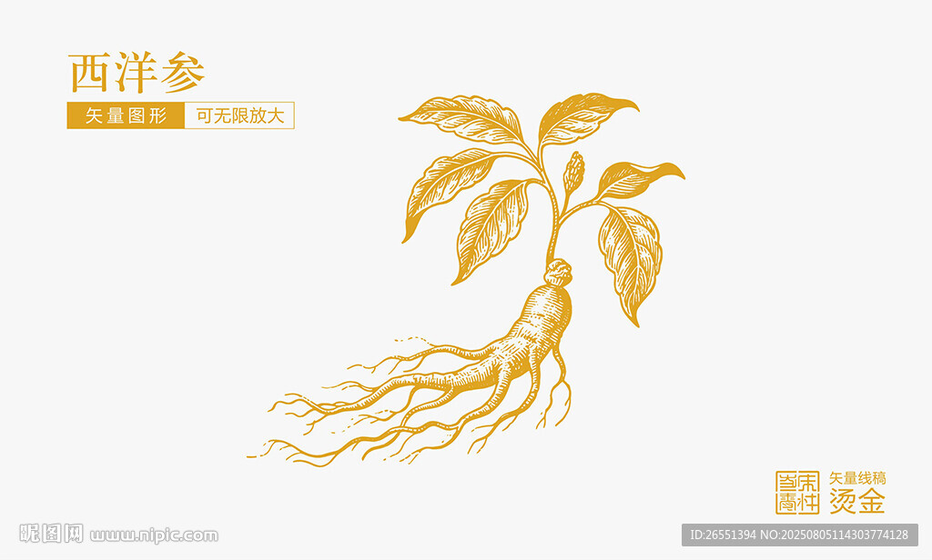 西洋參