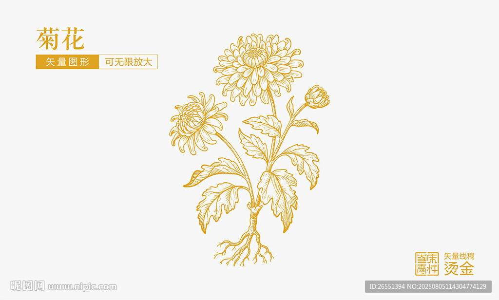 菊花