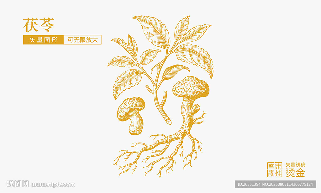 茯苓