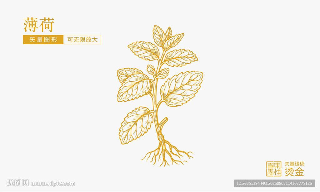薄荷