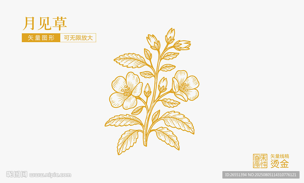 月光草