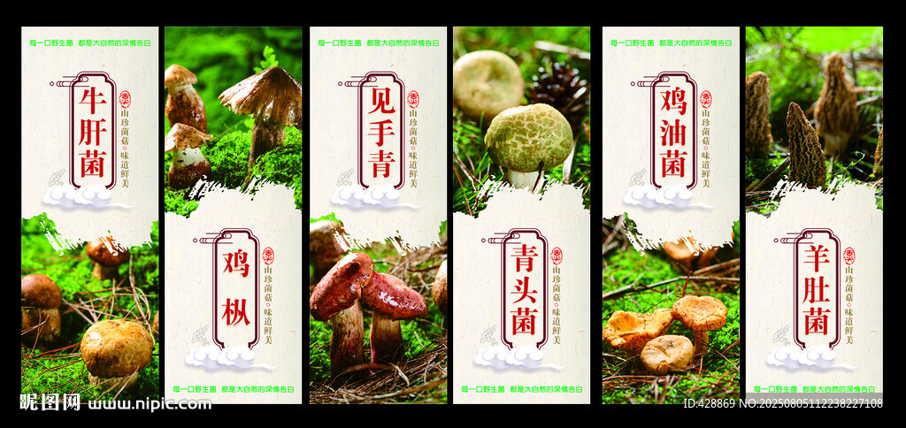 野生菌海報