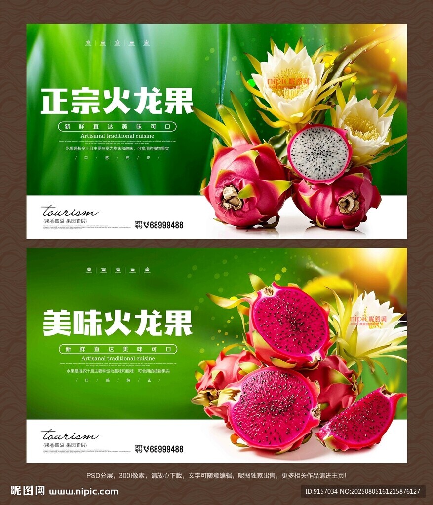 火龍果海報(bào)