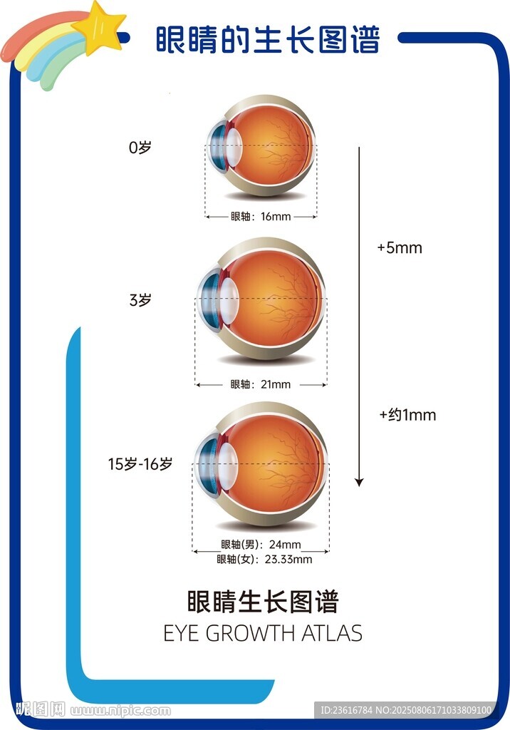 眼軸生長圖譜