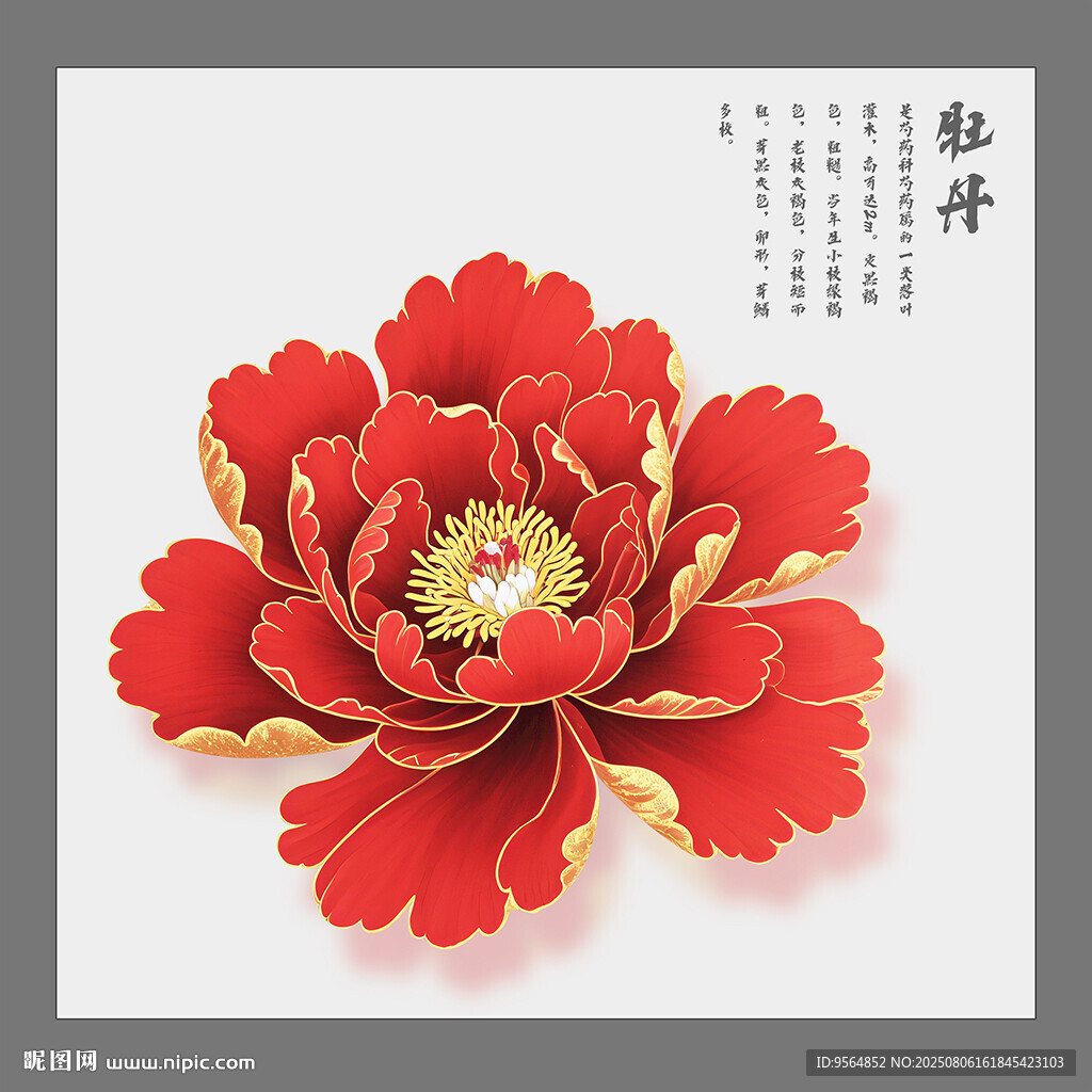 牡丹