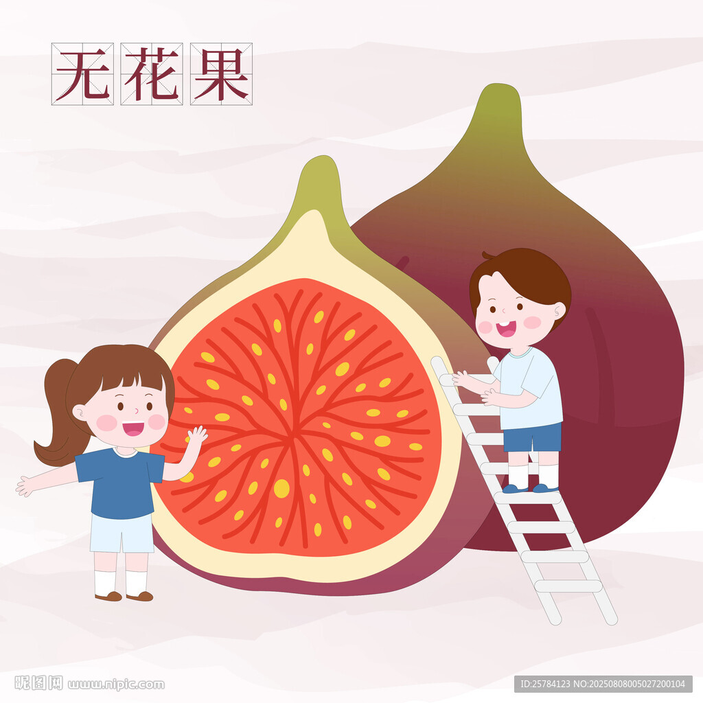 兒童看圖識物水果無花果卡片插畫