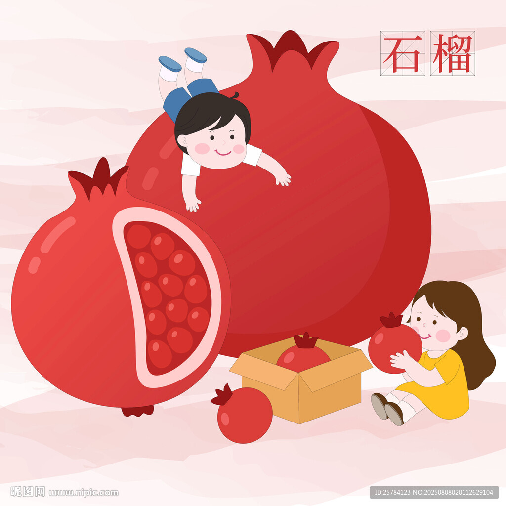 兒童看圖識物卡片石榴教育類插畫