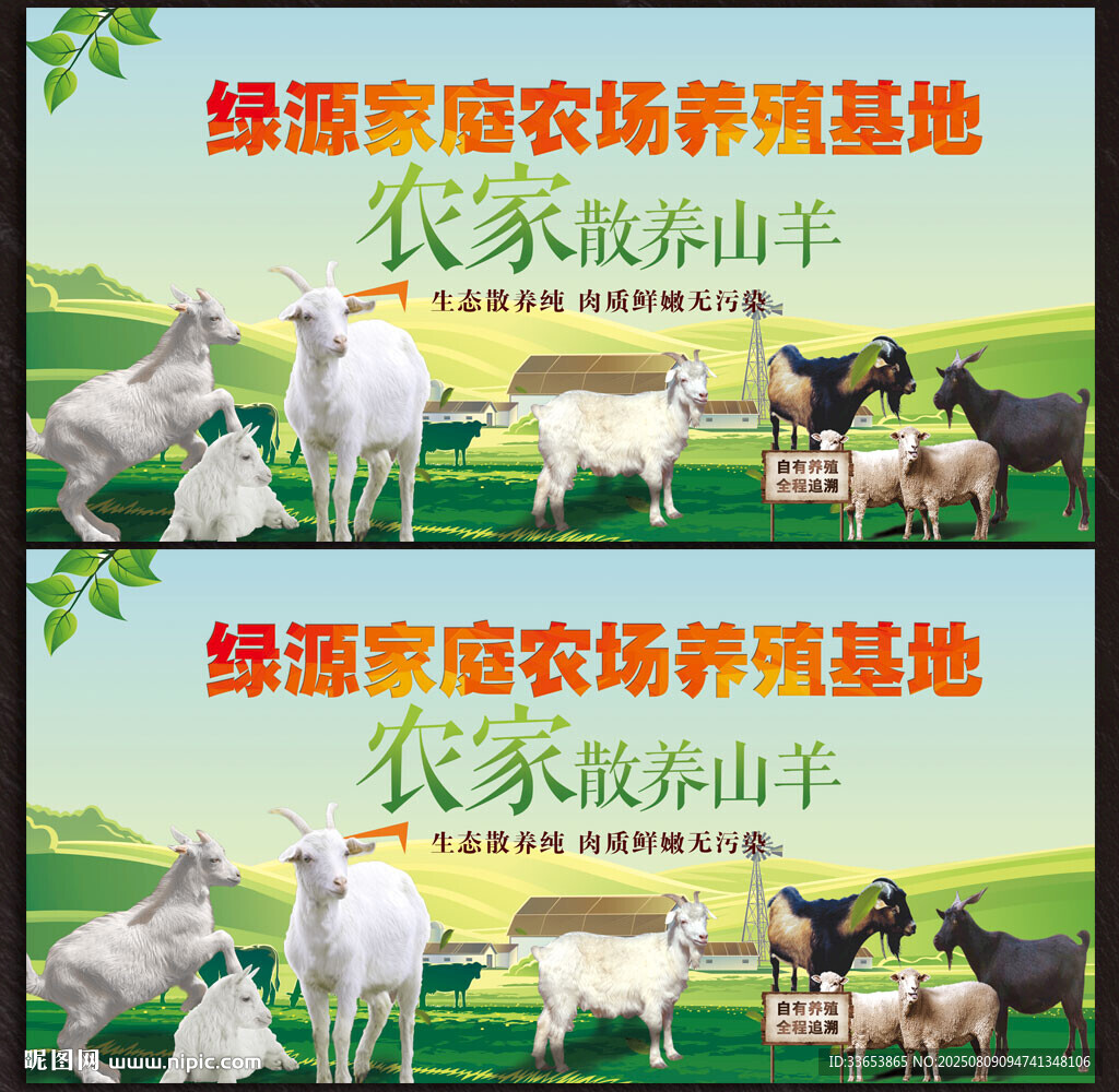 散養(yǎng)山羊展板