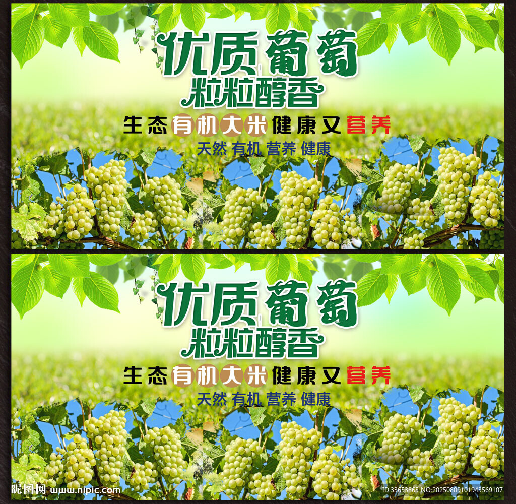 葡萄