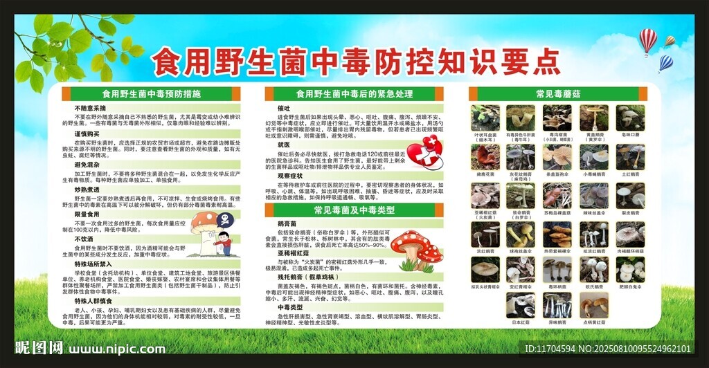 預(yù)防毒蘑菇中毒知識宣傳欄