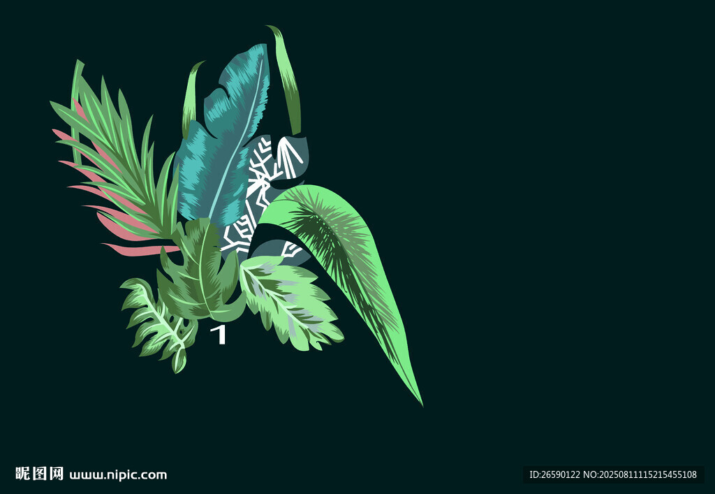 多彩植物插畫