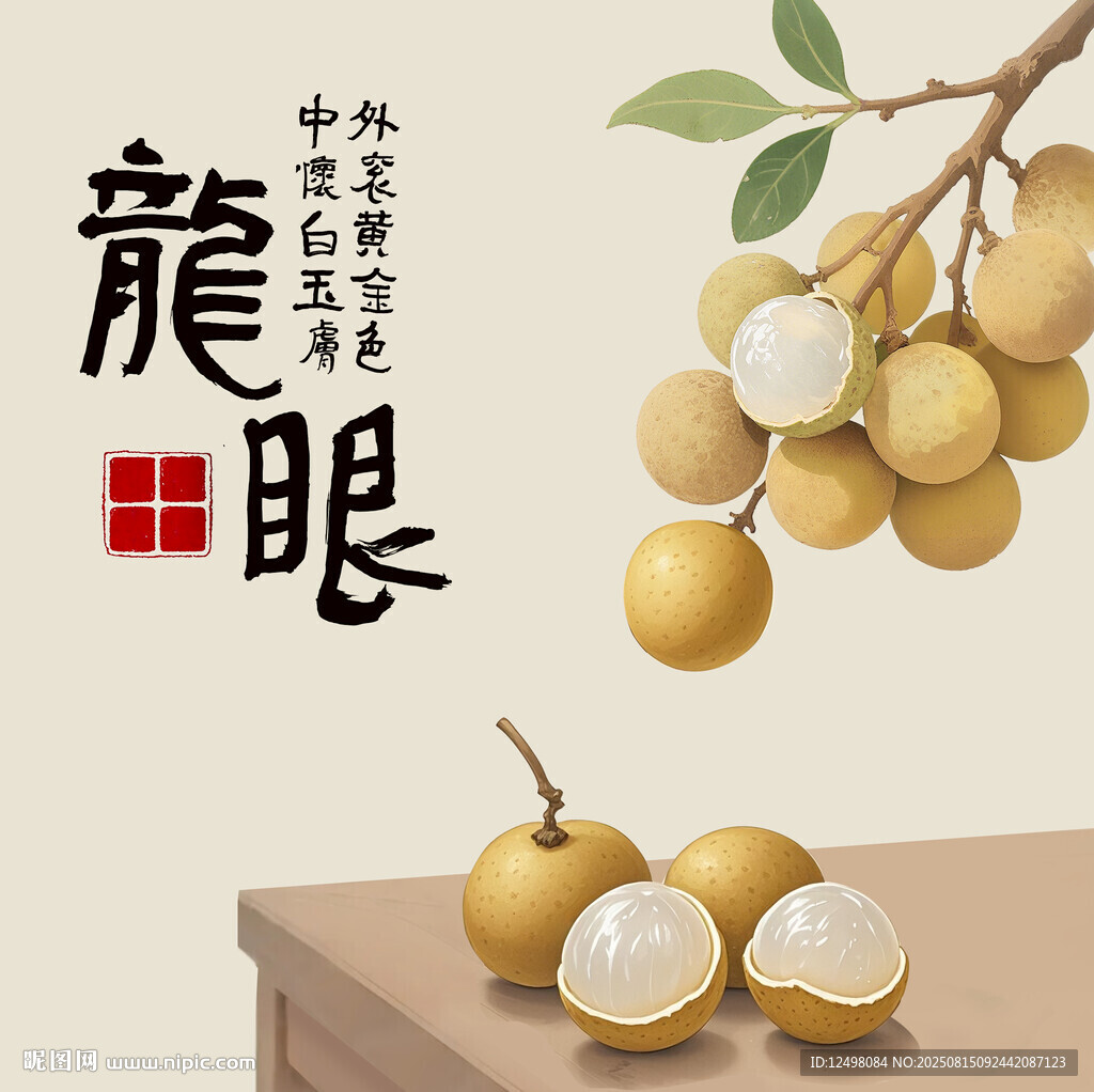 手繪龍眼