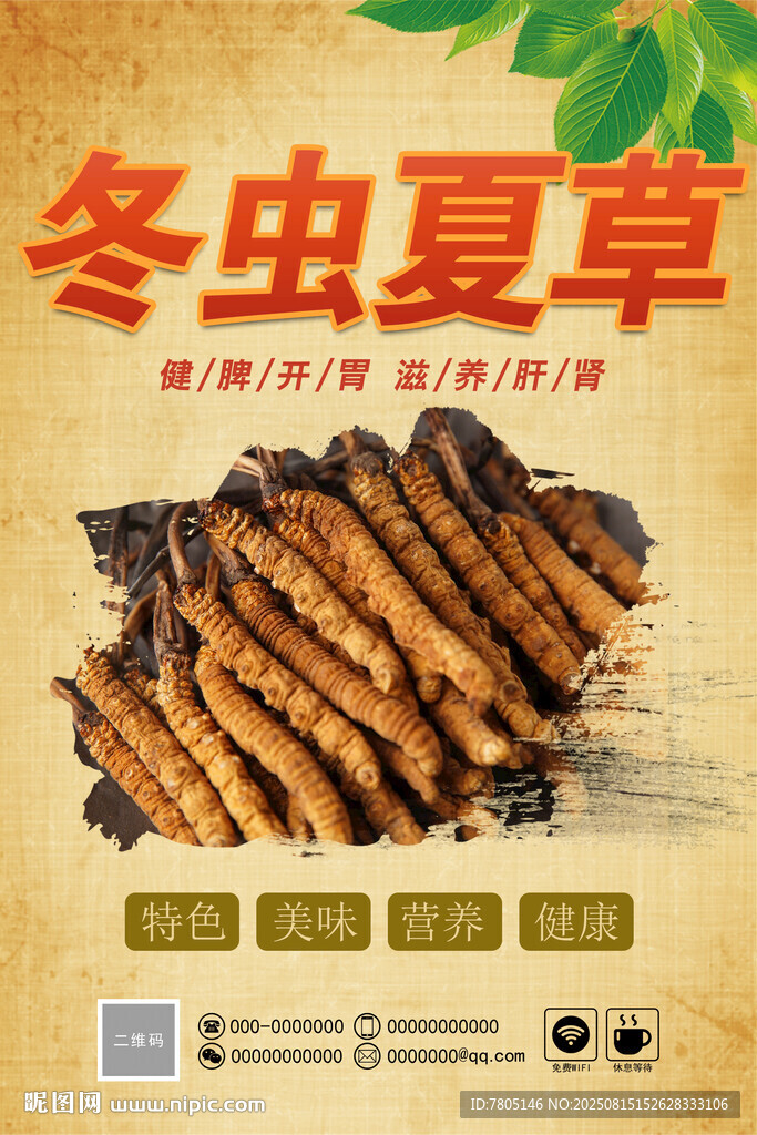 優(yōu)質(zhì)冬蟲夏草 