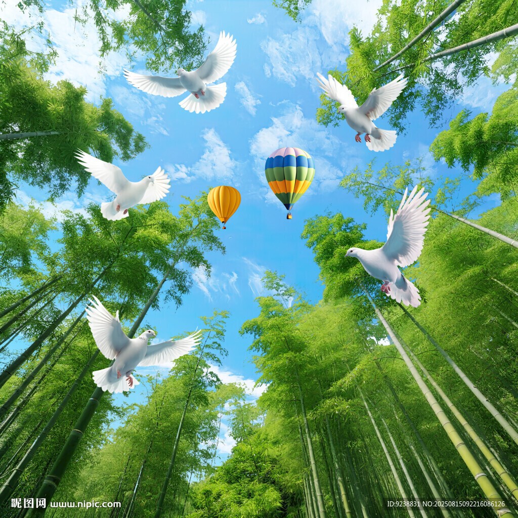 竹林仰望