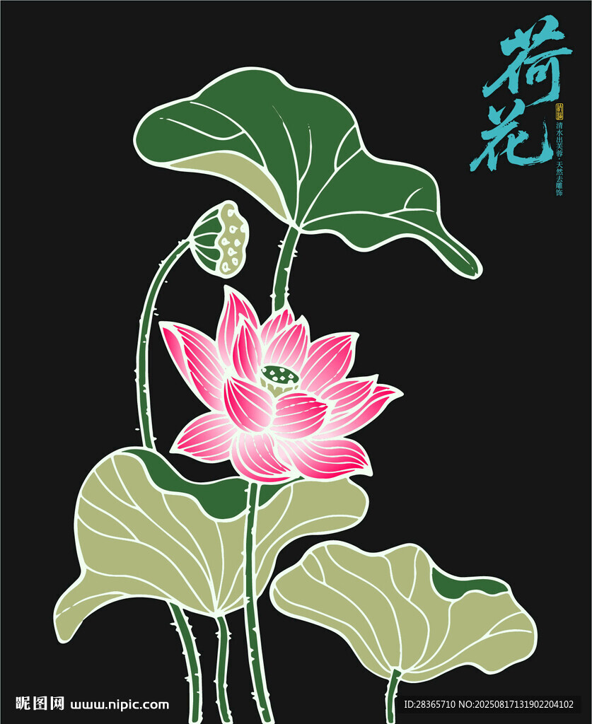 矢量荷花