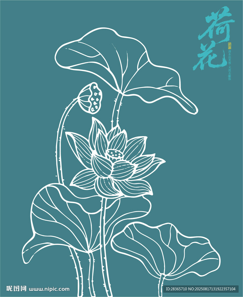 矢量荷花