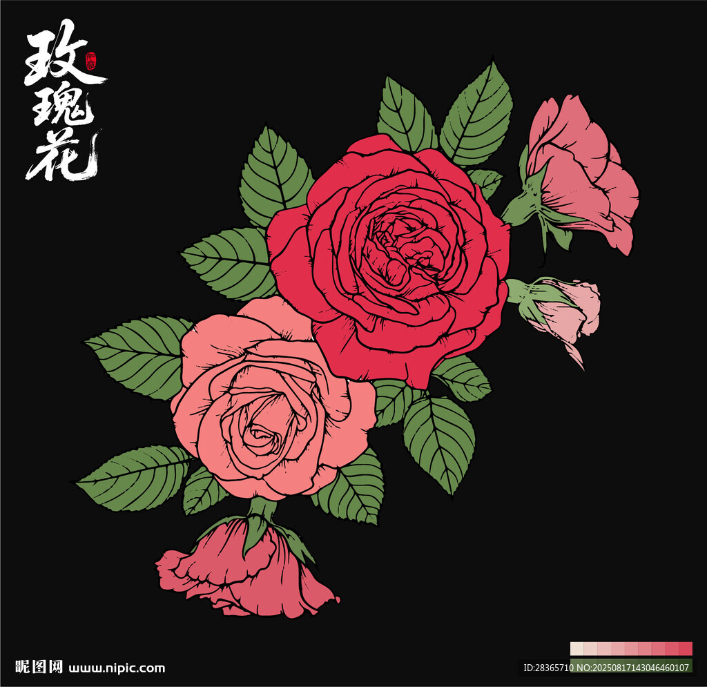 玫瑰花插畫