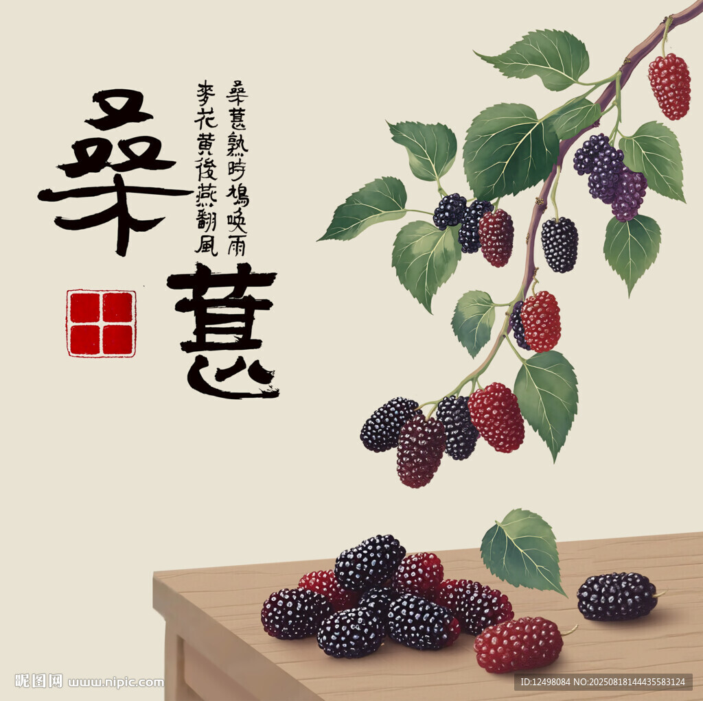 手繪桑葚