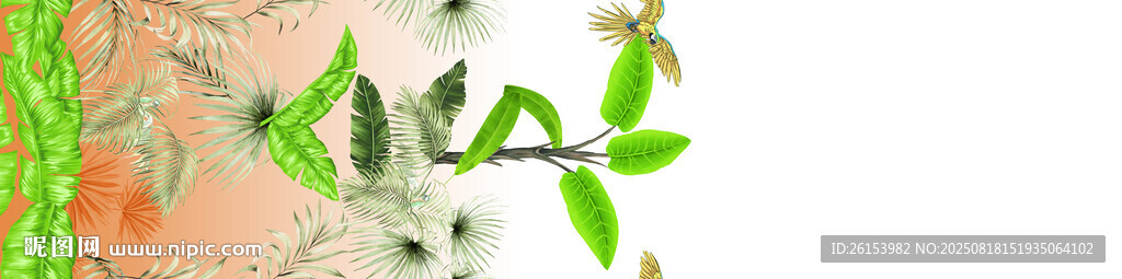 白底單邊定位花