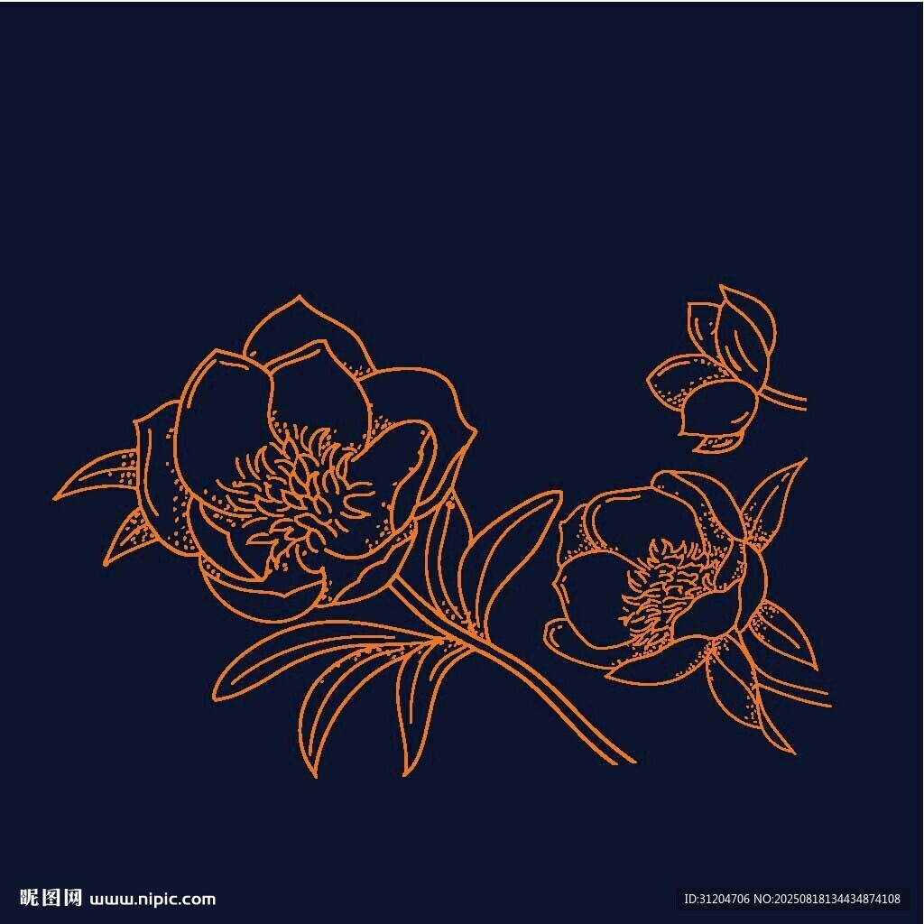 牡丹花苞
