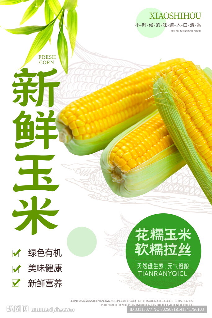 新鮮甜玉米海報