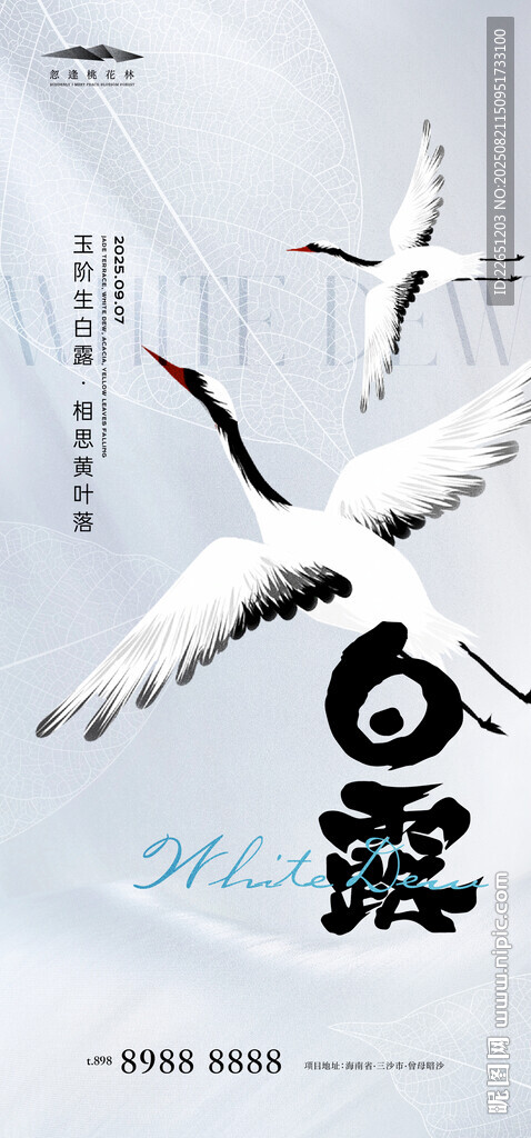 白露