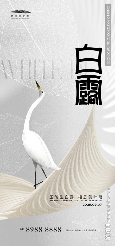 白露