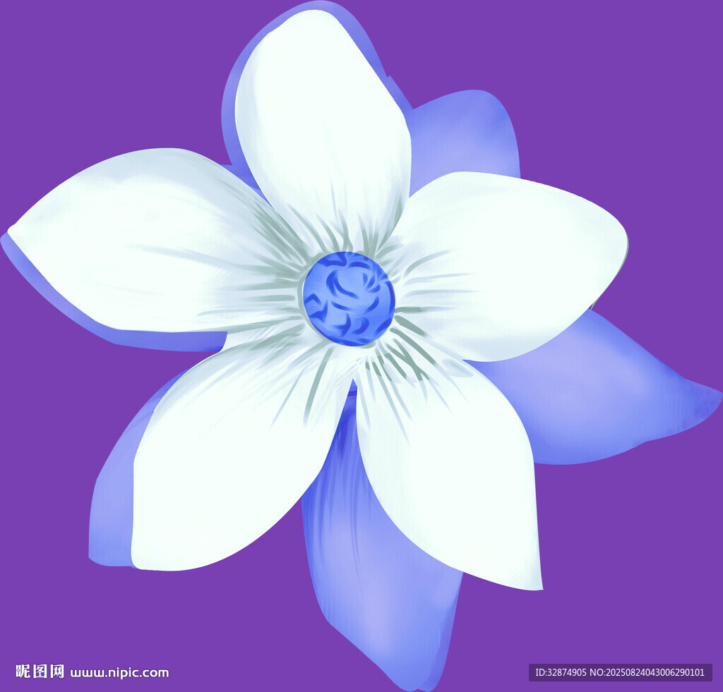藍白花朵插畫