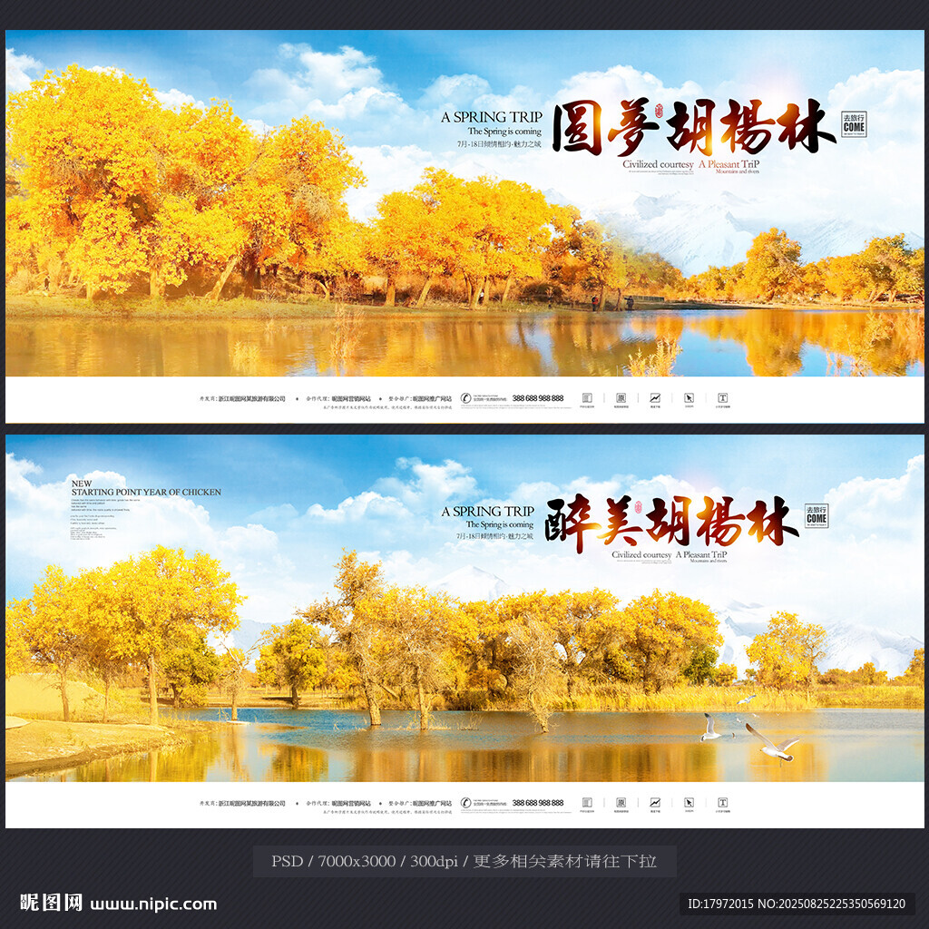 胡楊林