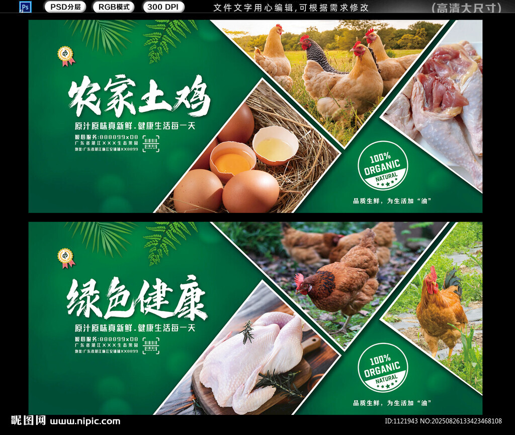 農(nóng)家土雞 