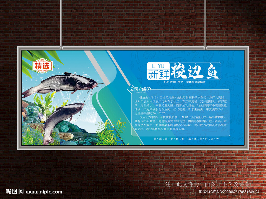 梭邊魚