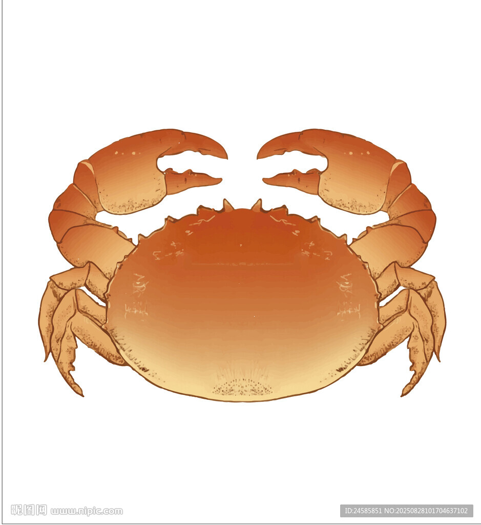 卡通螃蟹插畫