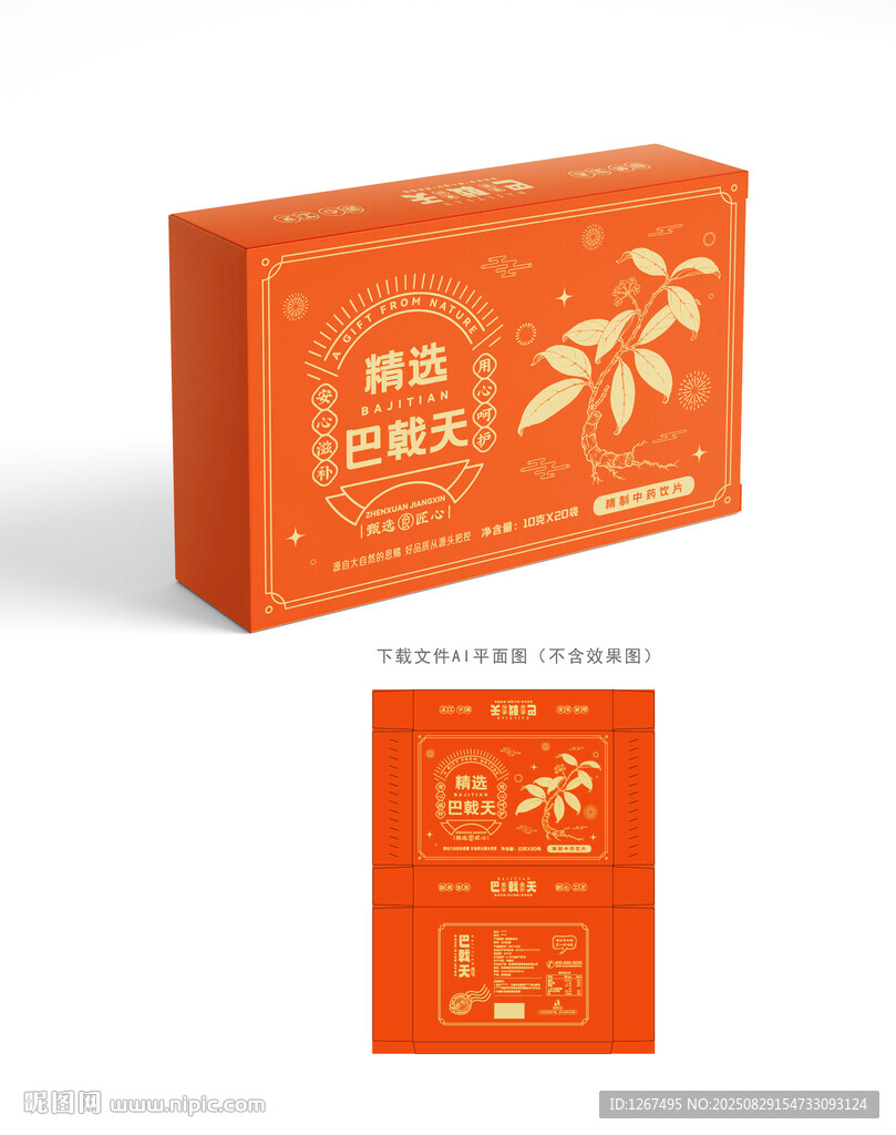 巴戟天設(shè)計(jì)