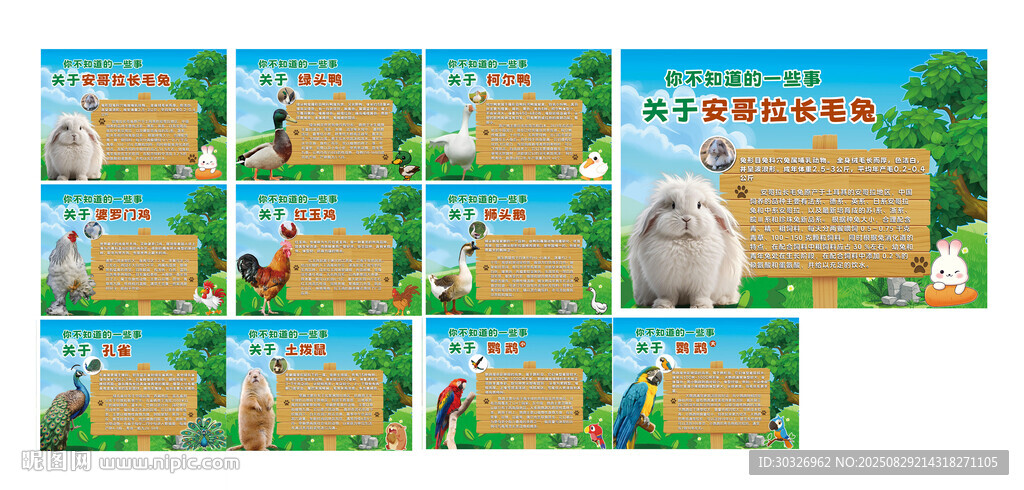 動物科普知識自然生物展板
