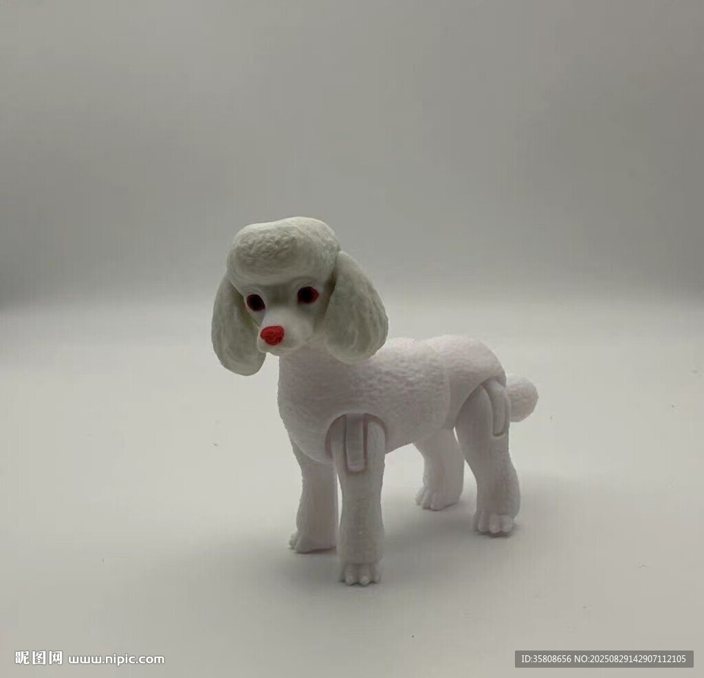 貴賓犬