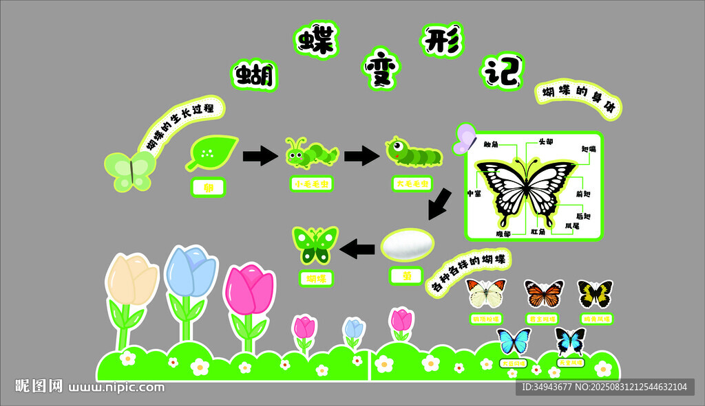 幼兒園裝飾綠色春天季環(huán)創(chuàng)蝴蝶