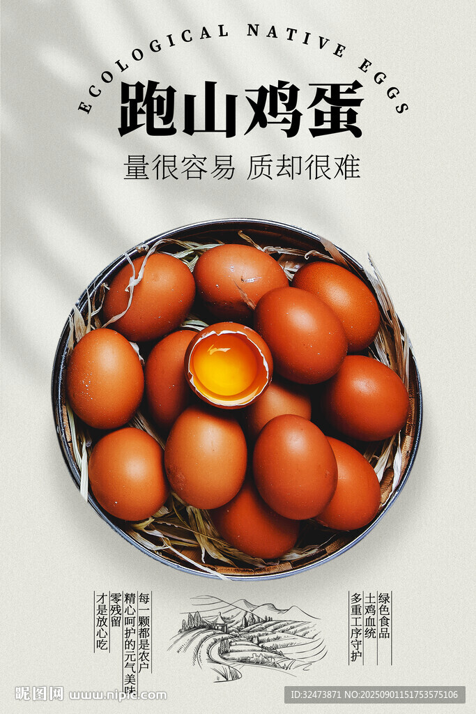 深山散養(yǎng)跑山雞蛋