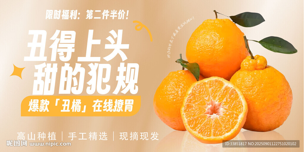 丑橘