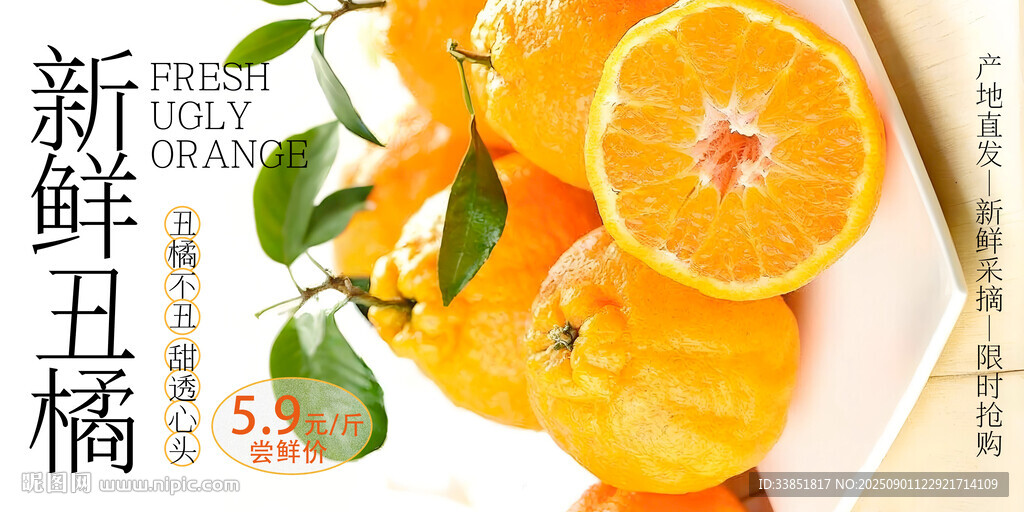 丑橘 