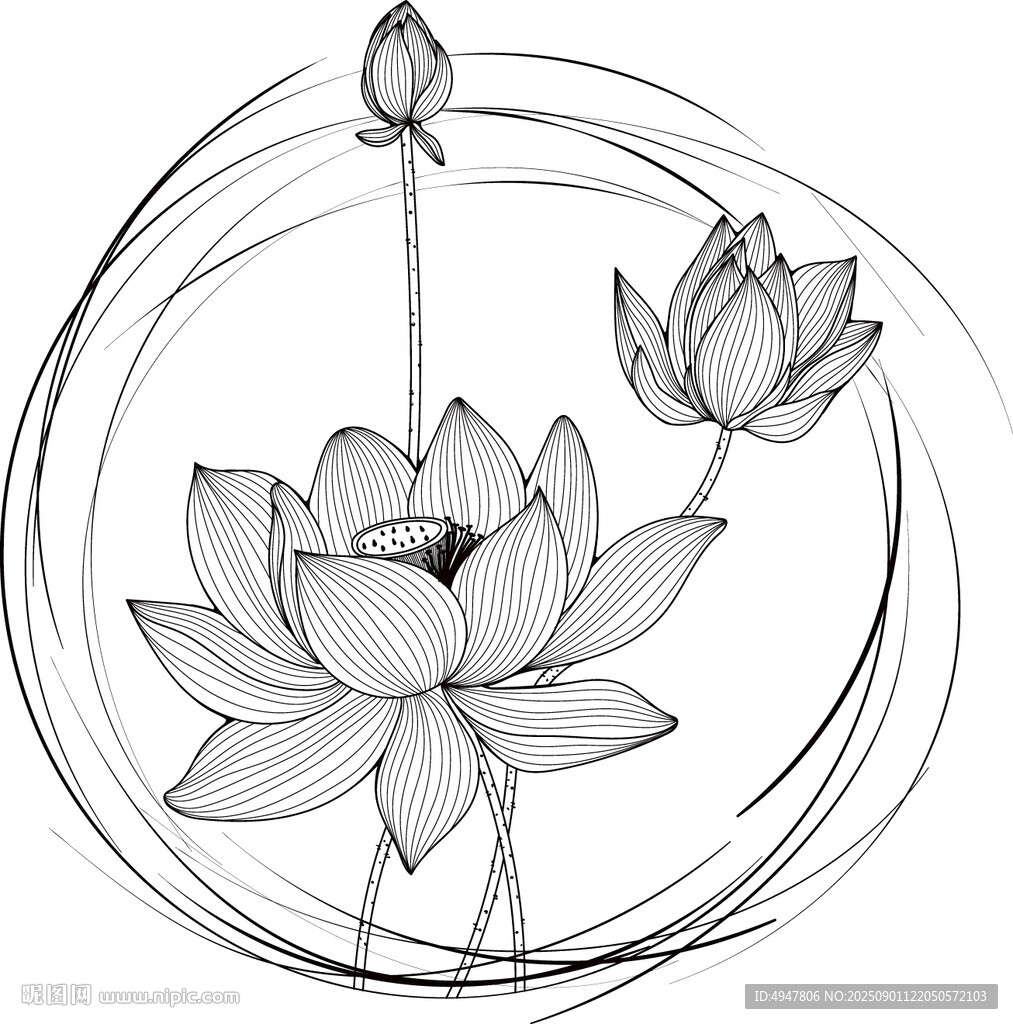 手繪禪意蓮花線條插畫 矢量圖