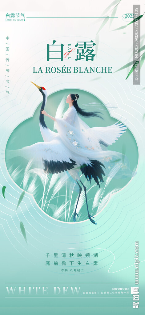 白露時節(jié)白鷺圖