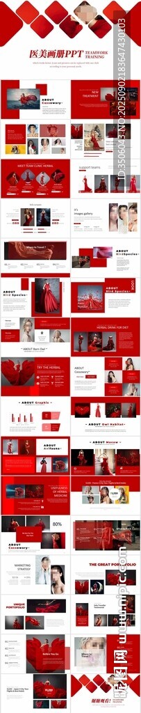 紅色醫(yī)美畫冊PPT