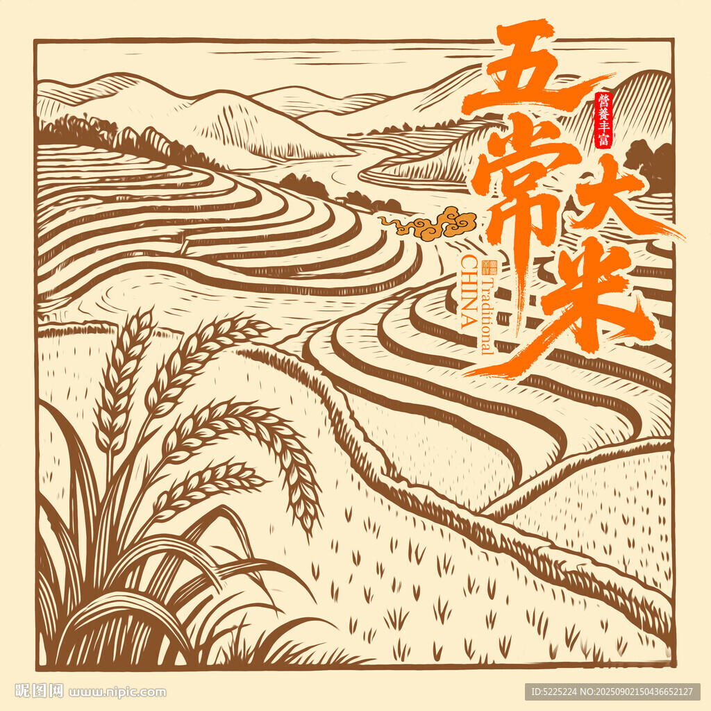 五常大米稻田插畫